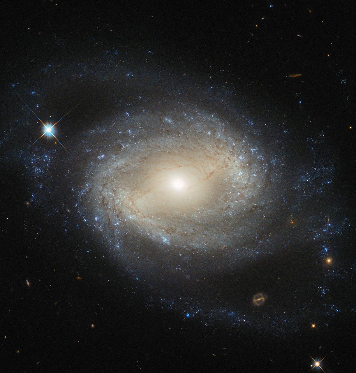 Quasar galactic nucleus